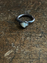 Load image into Gallery viewer, Tooth ring size 5
