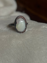 Load image into Gallery viewer, Shell ring size 7.75
