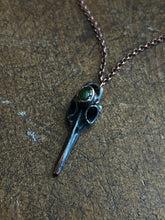 Load image into Gallery viewer, Serpentine bird skull
