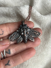 Load image into Gallery viewer, Moth necklace
