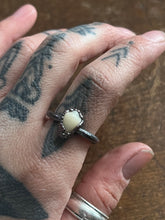 Load image into Gallery viewer, Tooth ring size 6.5

