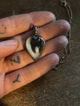 Load image into Gallery viewer, Tooth necklace
