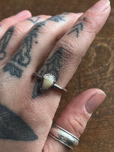 Load image into Gallery viewer, Tooth ring size 6
