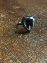 Load image into Gallery viewer, Tooth ring size 5.75
