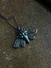 Load image into Gallery viewer, Moth necklace
