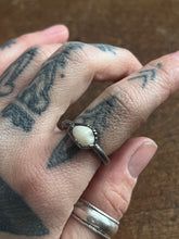 Load image into Gallery viewer, Tooth ring size 5
