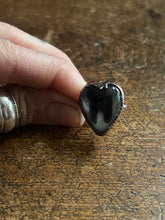 Load image into Gallery viewer, Tooth ring size 6
