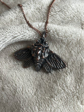 Load image into Gallery viewer, Moth necklace
