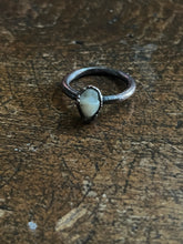 Load image into Gallery viewer, Tooth ring size 6
