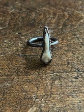 Load image into Gallery viewer, Tooth ring size 6
