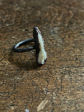 Load image into Gallery viewer, Tooth ring size 6
