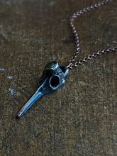 Load image into Gallery viewer, Serpentine bird skull
