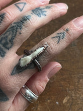Load image into Gallery viewer, Tooth ring size 6
