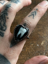 Load image into Gallery viewer, Tooth ring size 6
