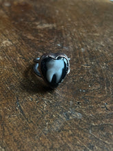 Load image into Gallery viewer, Tooth ring size 7
