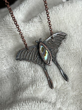 Load image into Gallery viewer, Abalone Moth necklace

