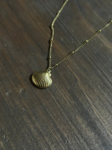 Shell necklace