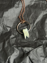 Load image into Gallery viewer, Tooth necklace
