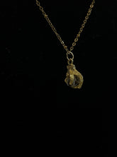 Load image into Gallery viewer, Claw necklace
