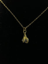 Load image into Gallery viewer, Claw necklace
